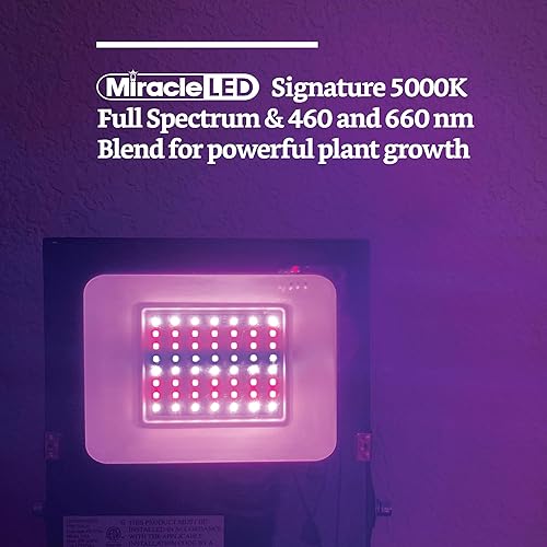 Miniatura 3 de Miracle LED Lámpara de cultivo Mighty de 52 W para cultivo en interiores urbanos, panel de cultivo LED de espectro rojoazul para montaje en pared