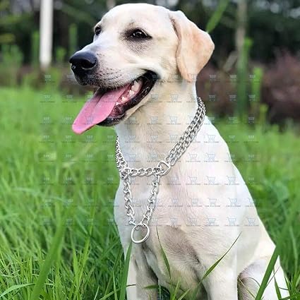 The DDS Store Dog Martingale Pinch Choke Collar - Heavy Duty Titan Training Slip P Chain Dog Collar - Adjustable 2 Row Chrome for Medium and Large Dogs