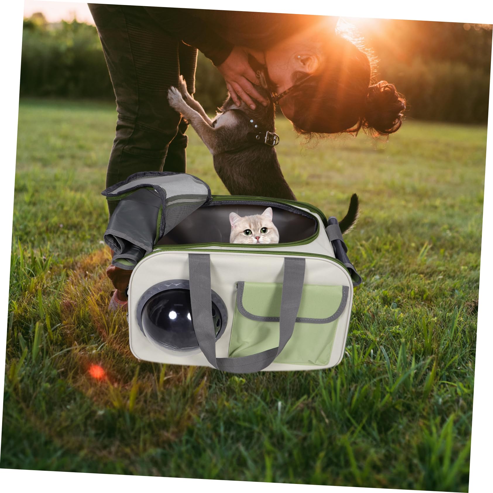 Katzentransporttasche aus Oxfordstoff mit Pe Platte, Große Kapazität | Handtasche und Schultertasche, für Katzen und Hunde, Geeignet für Wandern und Reise