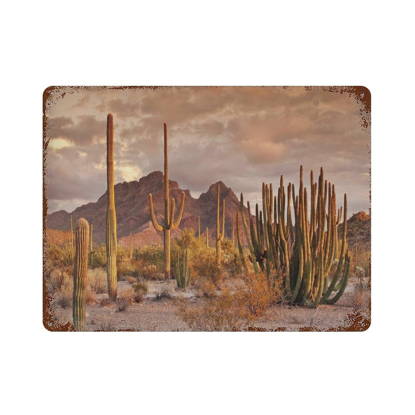 xiaoxiaoshen Vintage Desert Landscape Southwestern Cactus Decor Wall Decor Art Metal Tin Poster Modern Home Decor Art Home Bar Shop Decorations Vintage Sign 30x40cm