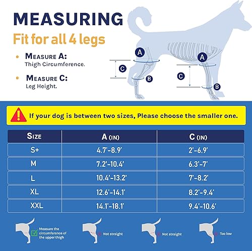 Miniatura 3 de Rodillera para perro para desgarro de ACL en la pierna trasera, soporte de pierna canina para lesiones del ligamento cruzado, osteoartritis o