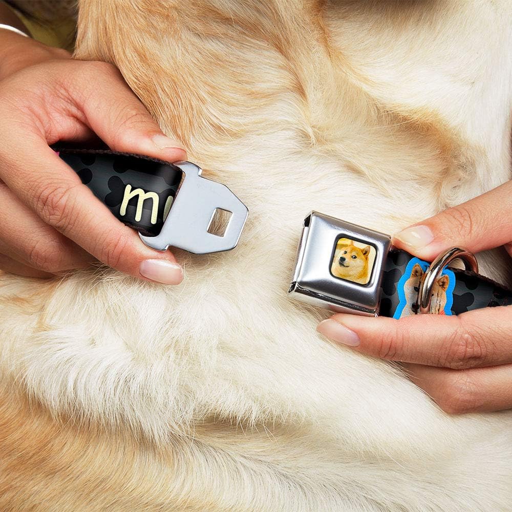 Buckle-Down Seatbelt Buckle Dog Collar - Doge 4-Poses/Bones MUCH CHILL/SO RELAX Black Fade - 1.5" Wide - Fits 16-23" Neck - Medium