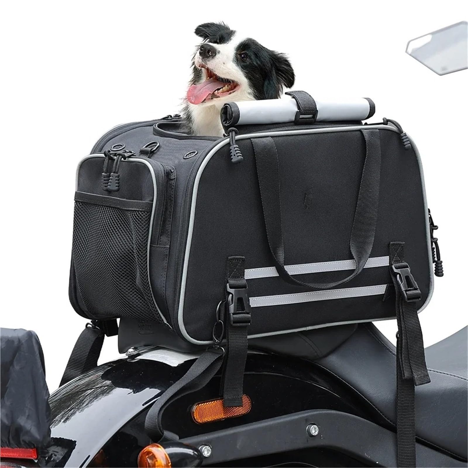 Motorrad-Heckgepäckträger Für Gepäckträger Beifahrersitz Motorrad Haustiertragetasche Katze Hund Haustiertragetasche Tragbare Katze Hund Reisetragetasche