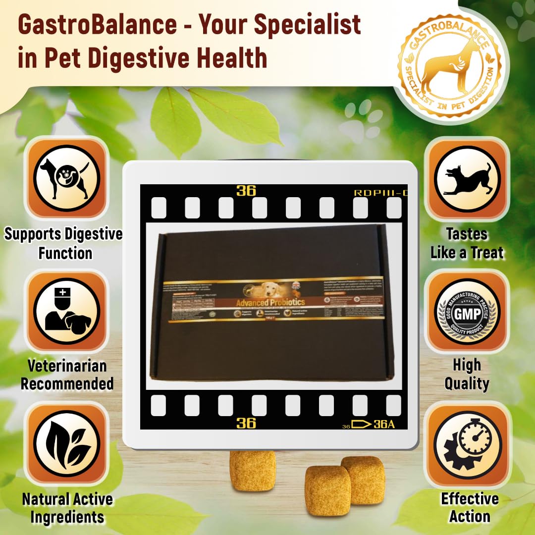 GastroBalance Advanced dog probiotics for gut health - 60 natural dog probiotic chews recommended by vet (Bacon flavour) - Image 3