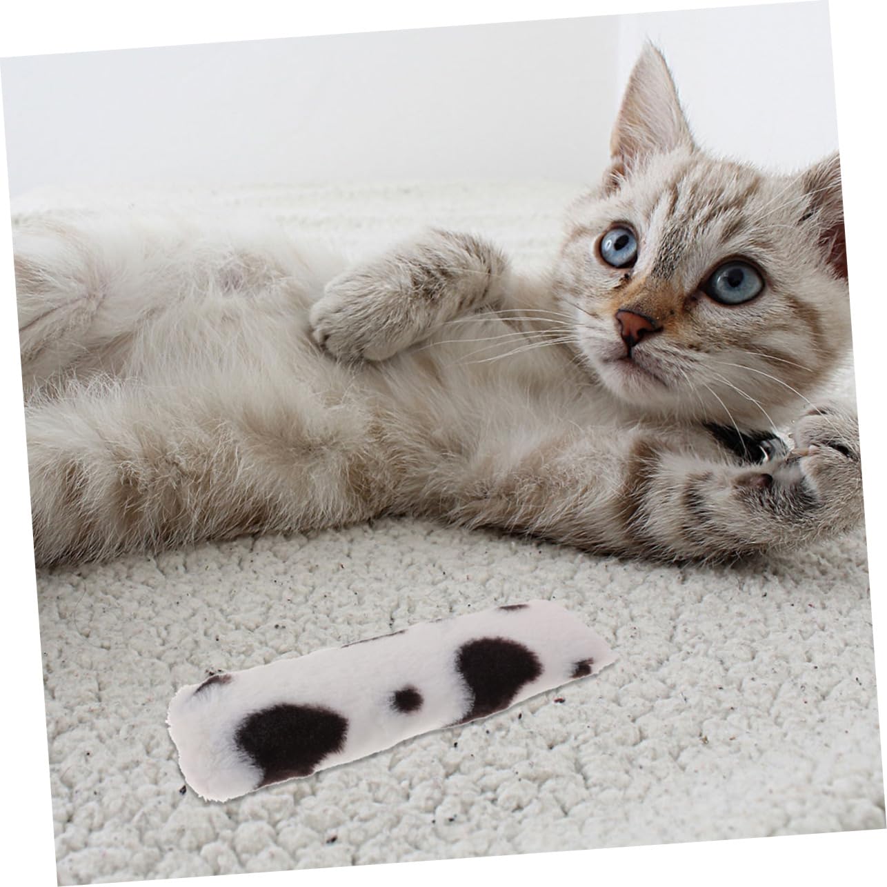 Happyyami 6piezas Juguetes De Gato Hierba Gatera Juguetes Interactivos Forma De Almohada para Cachorros Suplementos para Masticar y Jugar Interiores