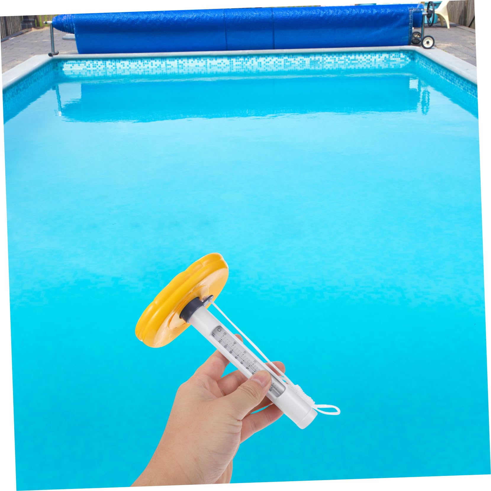 YARNOW 3pezzi Termometro Acquatico Per Piscina Forma Di Cartone Animato Misuratore Di Temperatura Per Lettura Accurata Fahrenheit e Celsius Per Giochi