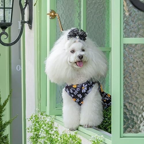 Miniatura 75 de CuteBone Vestido de malla para perro, vestido de Halloween para cachorros, traje de verano para mascotas, moda de verano para perros pequeños, ropa