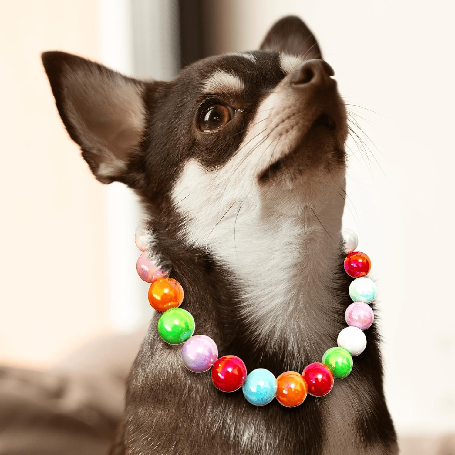 Hosiwei Handmade Rainbow Beaded Dog Collar - 16mm Chunky Colorful Candy Pearls with Stainless Steel Wire, Adjustable Pet Necklace Jewelry Accessories for Small, Medium, Large Dogs