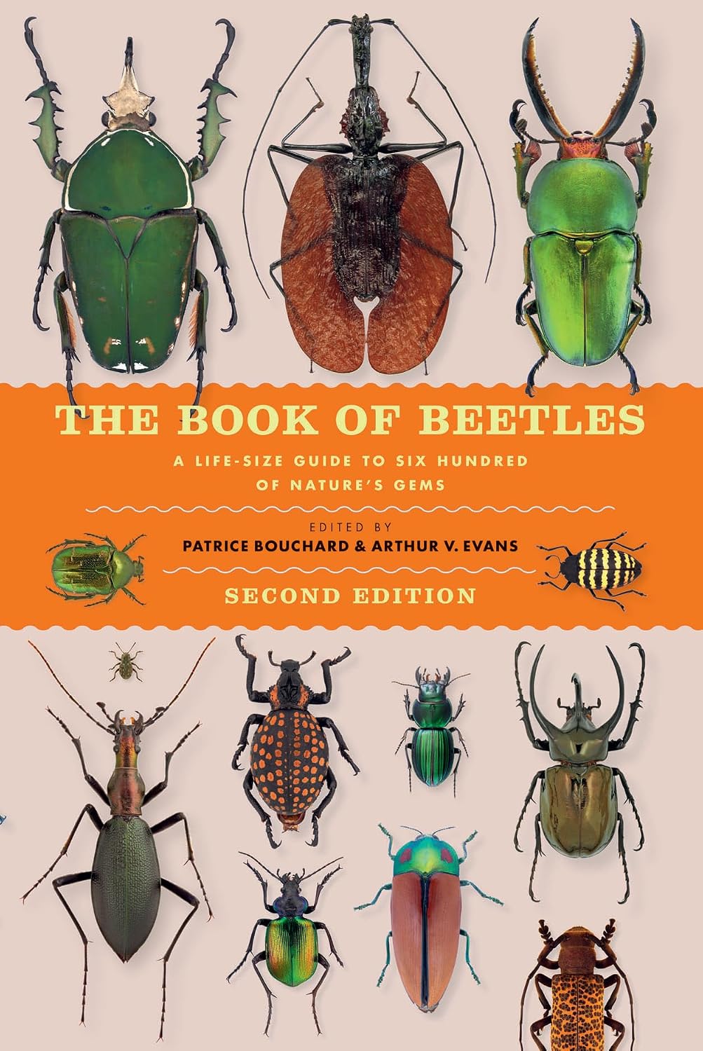 The Book of Beetles, Second Edition: A Life-Size Guide to Six Hundred of Nature’s Gems (Life-Size Guides to the Best of Nature)