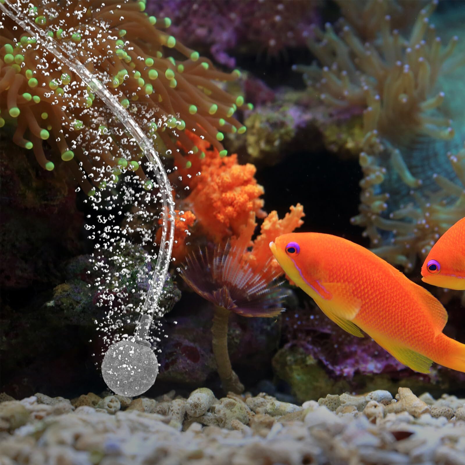 10 Pezzi Pietre d'Aria Rotonde per Acquario Diffusori Bolle Equilibrate in Dinas Riutilizzabili e Resistenti per Serbatoi Pesci d'Acqua Dolci e Marine