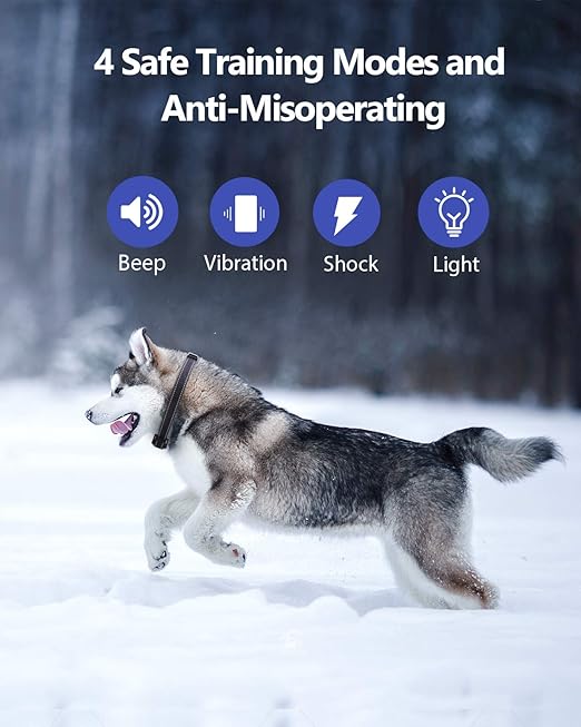 pet diary shock collar