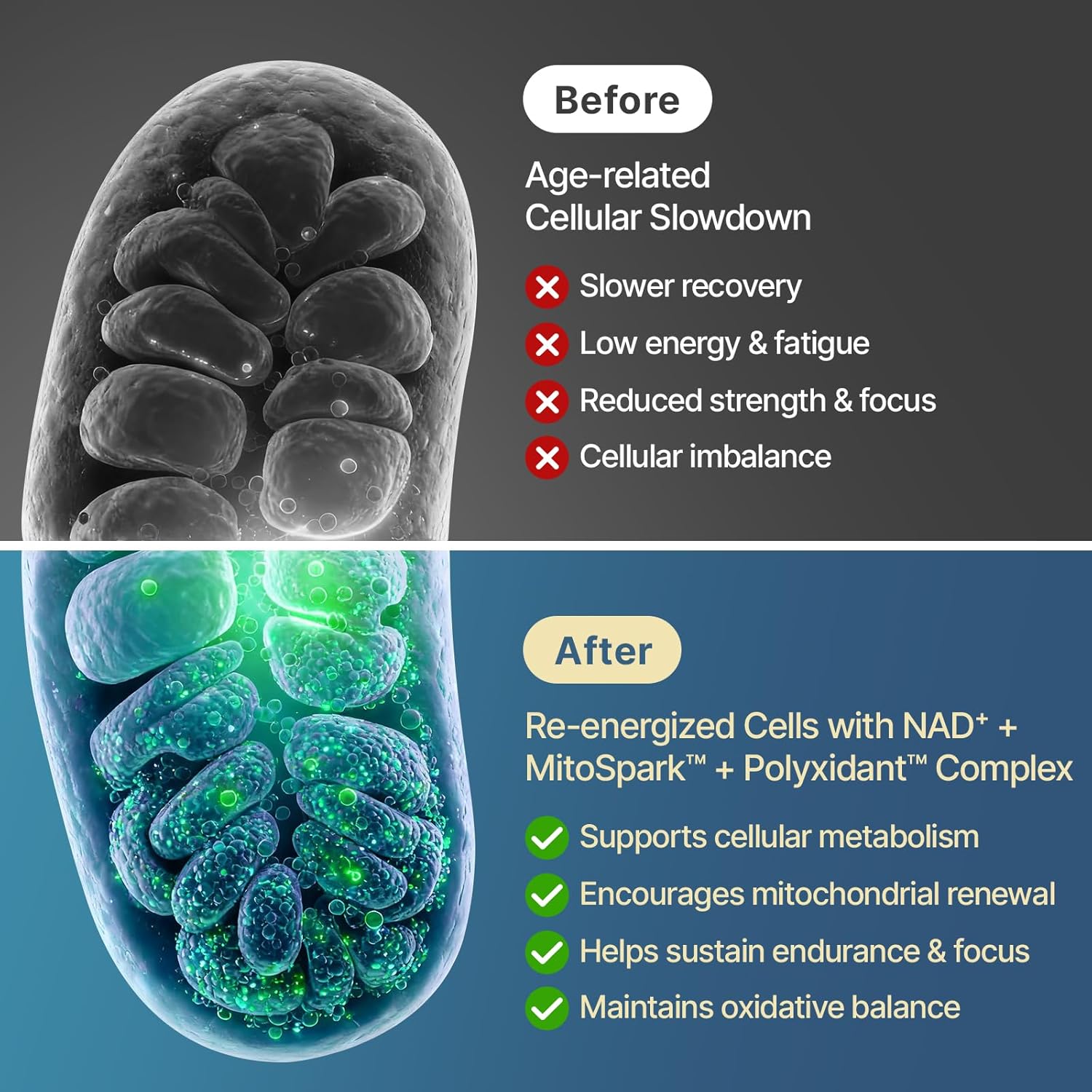 NAD+ Supplement 1600mg Extra Strength - Liposomal NMN Alternative with Resveratrol, Urolithin A, CoQ10, Quercetin & ALA - Mitochondrial Energy & Anti-Aging, Cell Regeneration, 120 Softgels - Image 3