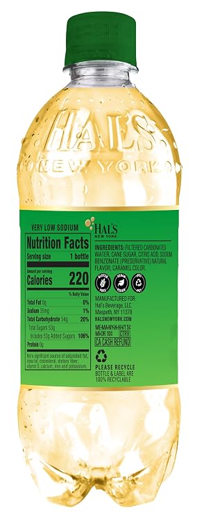 Hal's New York Original Ginger Ale, 20 Fl Oz Bottles (Pack of 24)