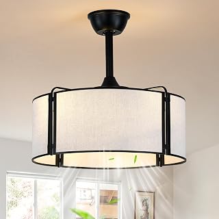 19.2 Inch Boho Fandelier Ceiling Fan with Lights and Remote