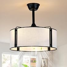 19.2 Inch Boho Fandelier Ceiling Fan with Lights and Remote