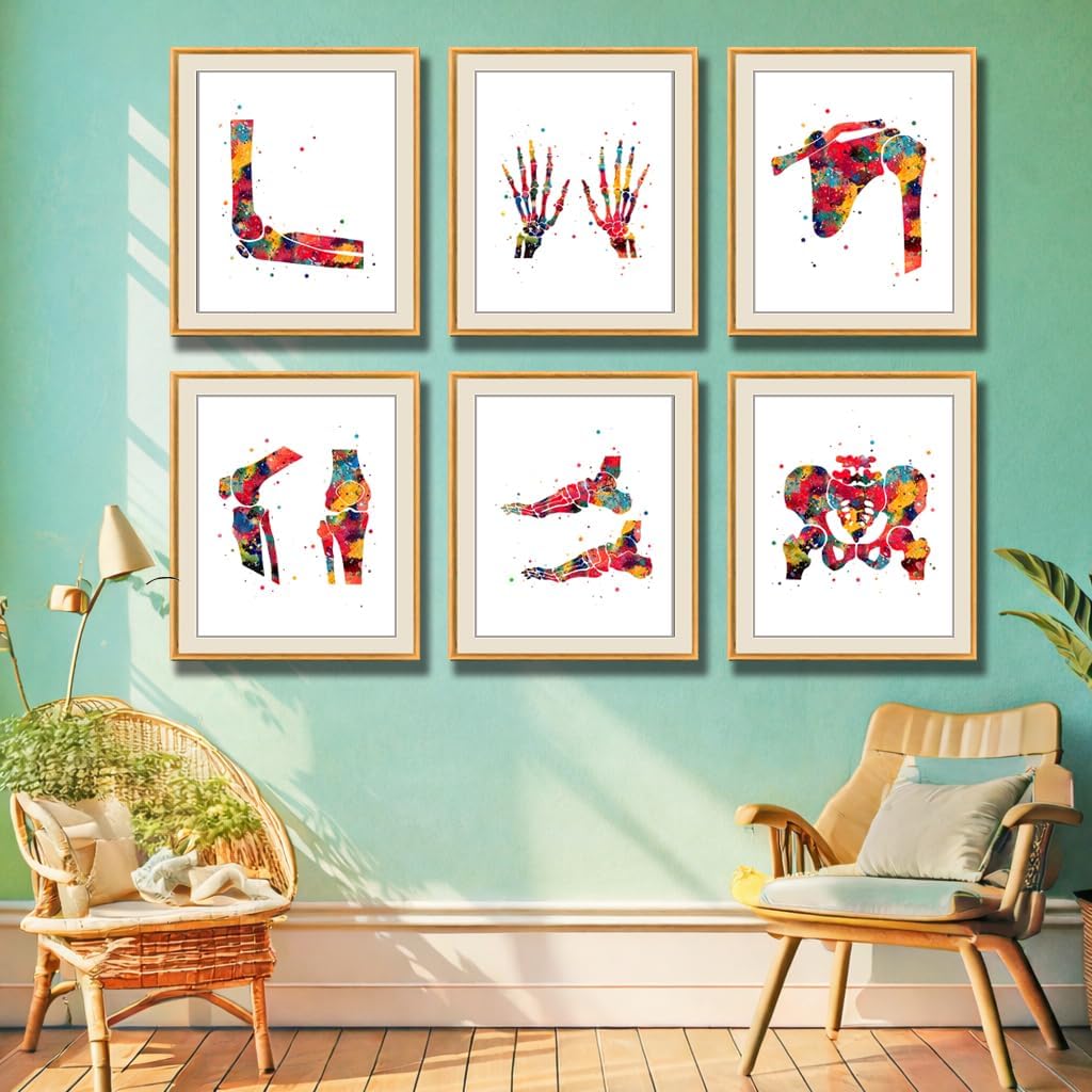 Watercolor Human Skeleton Anatomy Bones Illustration Poster Set for Biology Classroom Display, Lab Chiropractic Medİcal Office Learning Wall Skeleton Study Desk Physical Therapy Science Wall Art, Med Student Orthopedist Teacher Science Enthusiast Graduation Gifts - 8x10 Unframed Poster Set