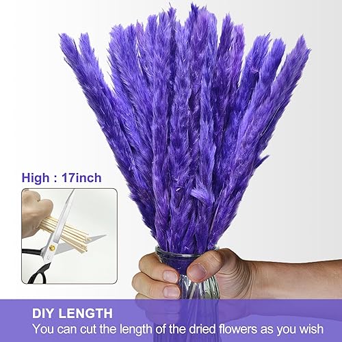 Miniatura 7 de 30 piezas pequeñas de hierba de las pampas, flores secas naturales, arreglos florales naturales, decoración de hierba seca de junco, flor eterna de