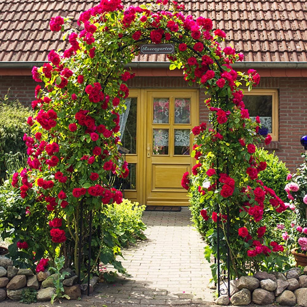 Garden Arbors,Decorative Metal Garden Arch,Wedding Arch Party Ceremony Decoration Climbing Plant Support Trellis Arch Arbor Trellis Pergola Arbor,Black-220240cm