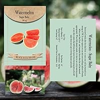 Vista 2 de 30 Assorted Packages of Vegetable Seeds, 15+ Varieties, All Seeds are Heirloom, 100% Non-GE