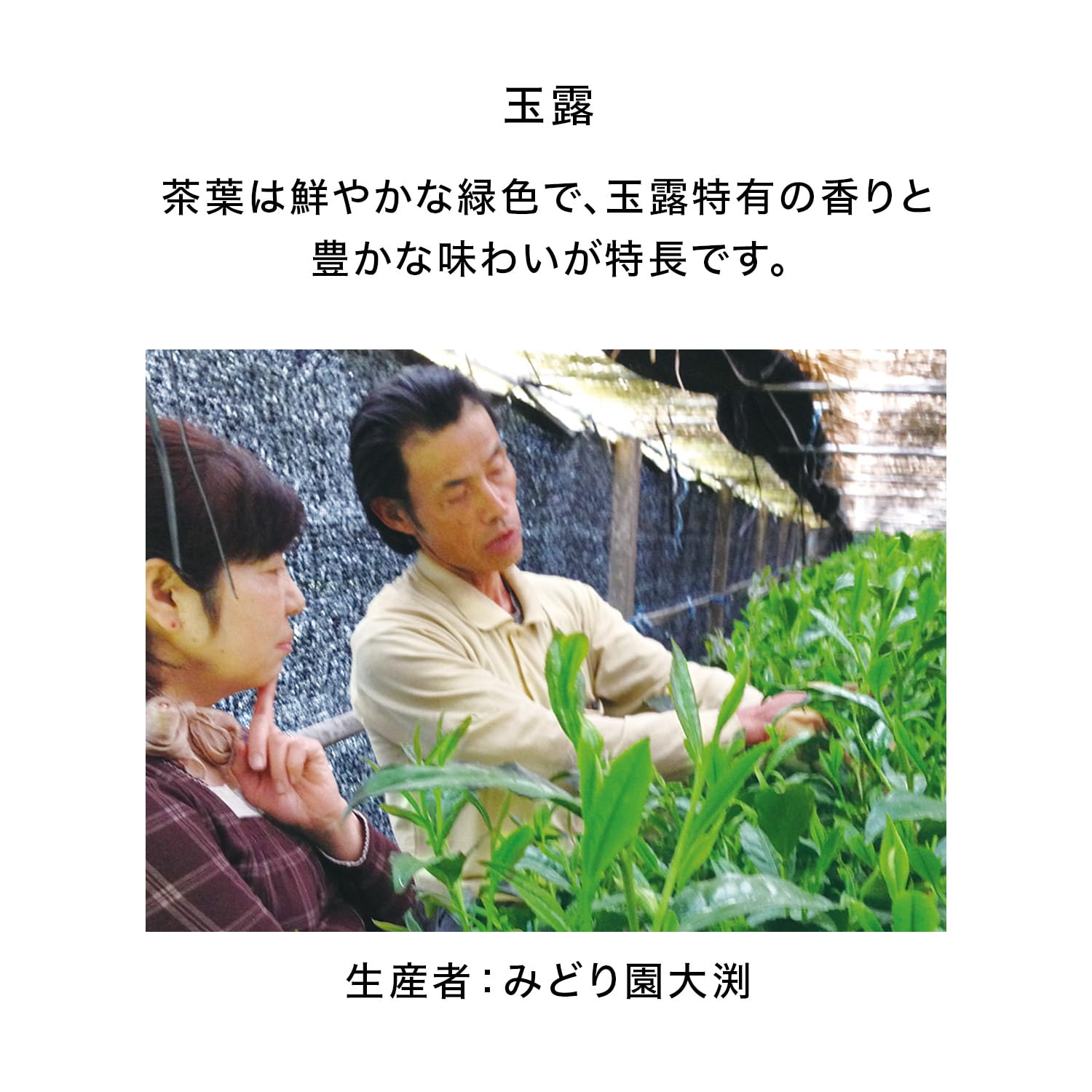 Amazon.co.jp: 【伊藤園専門店 公式】銘茶献上DA100 3種セット ギフト