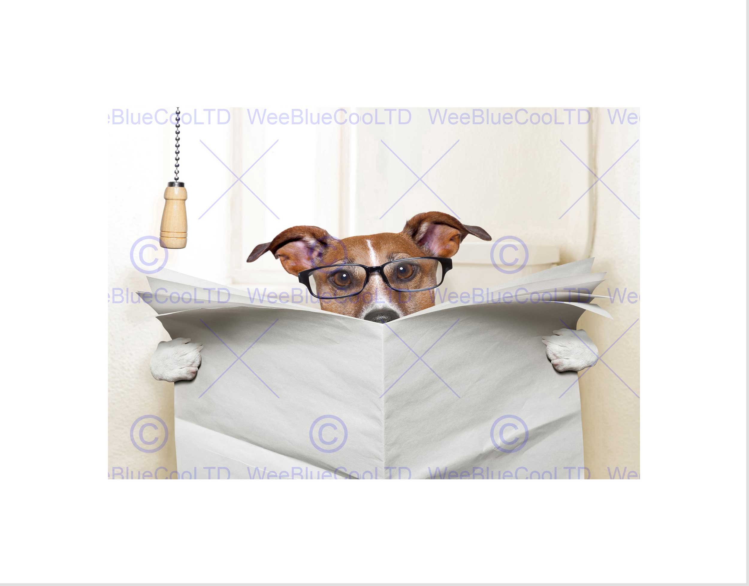 Wee Blue CooPhoto Mock Up Jack Russell Toilet Reading Newspaper Wall Art Print