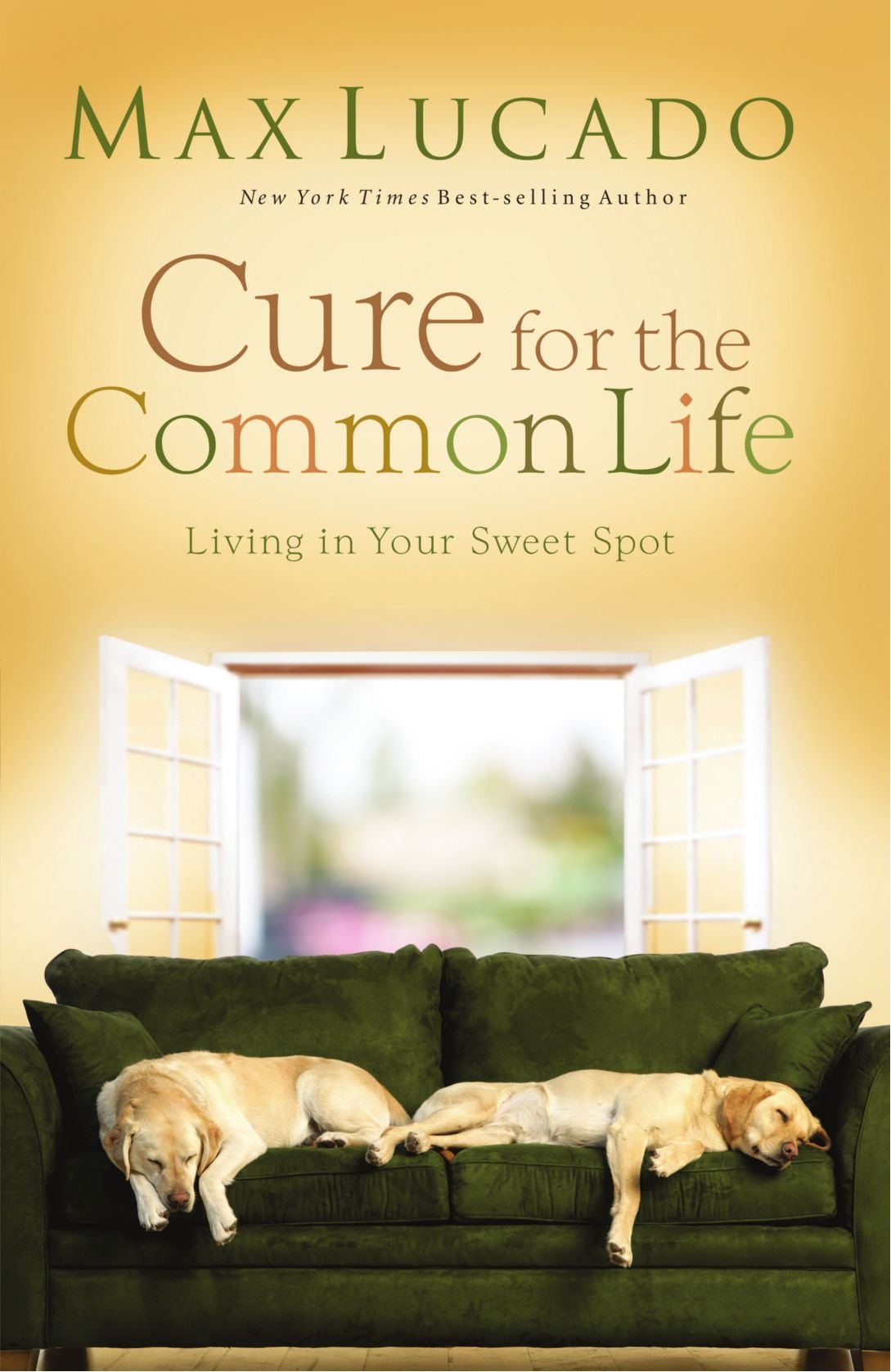 CURE FOR THE COMMON LIFE-Max Lucado, 9780849919091