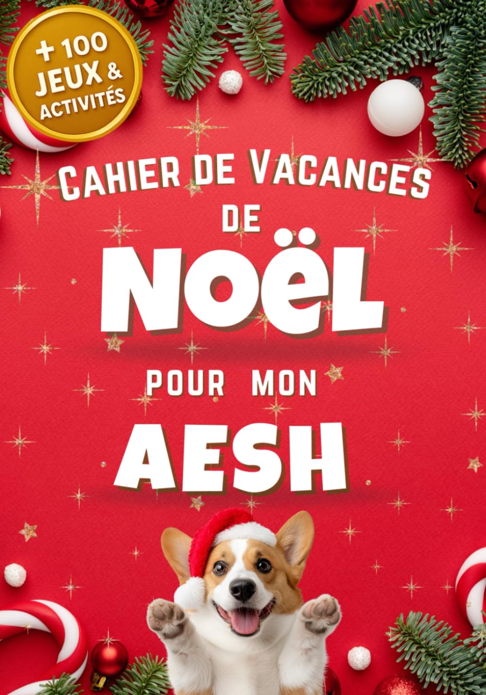 Independently published Cahier de Vacances de Noël pour mon AESH, de 100 jeux et activités: Pour remercier mon AESH, ATSEM, Maitresse, Maitre. Idée cadeau pour institutrice pour Noël.