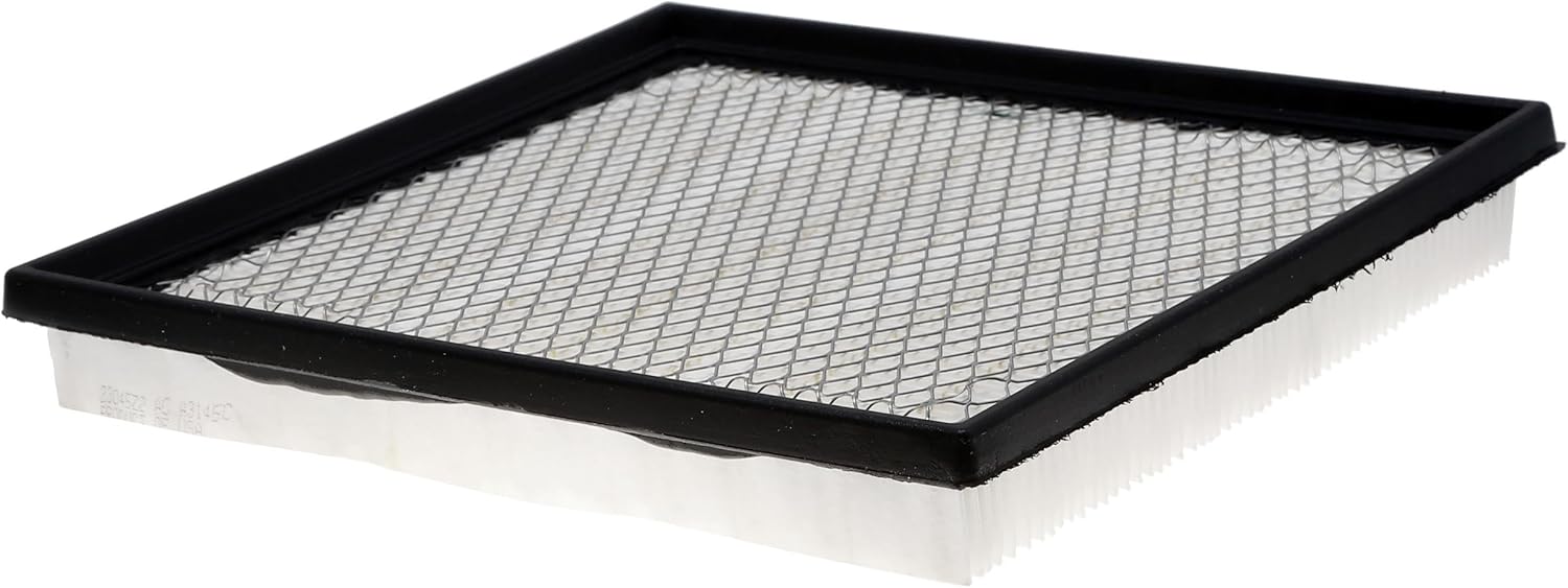 ACDelco GM Original Equipment A3145C (13272720) Air Filter