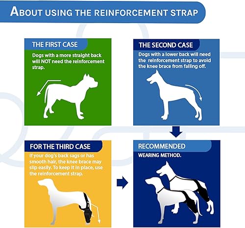 Miniatura 8 de Rodillera para perro para desgarro de ACL en la pierna trasera, soporte de pierna canina para lesiones del ligamento cruzado, osteoartritis o