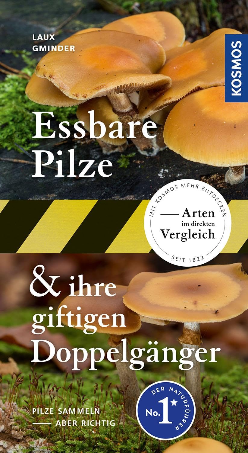 Essbare Pilze und ihre giftigen Doppelgänger: Pilze sammeln - aber richtig