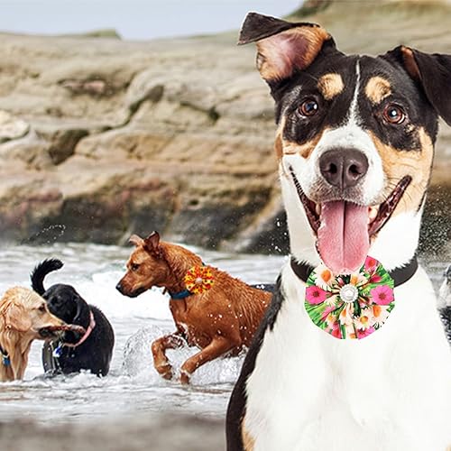 Miniatura 5 de Collar de perro con flores con cuentas, collar para mascotas para cachorros pequeños y medianos, collar deslizante para mascotas, lazo de flores,