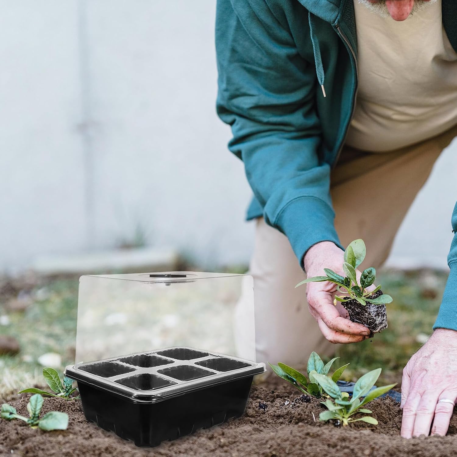 Alasum Seedling Starter Tray Kit with 6-Cell Ventilated Black Trays, Mini Greenhouse Box Set with Labels and Plant Propagator for Home Vegetable and Flower Germination, Garden Growing