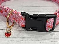 Review Image by ME in AZ ME in AZ