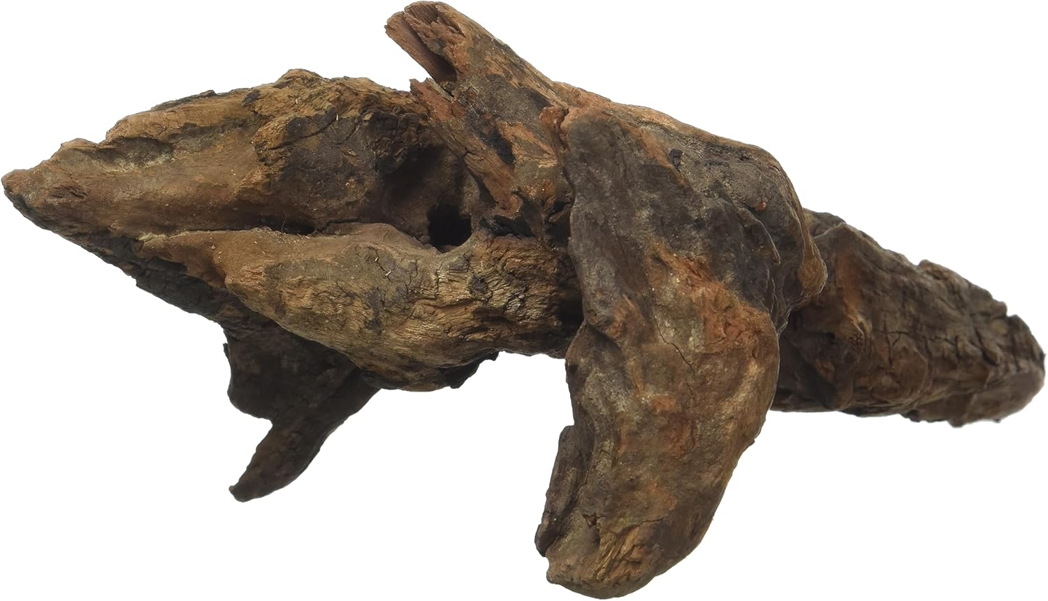 Mystic Wood, 25-30 cm