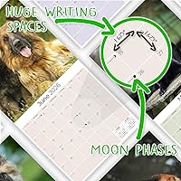 Vista 1146 de Razas de Perros 2017