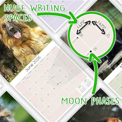 Miniatura 6 de Razas de Perros 2017