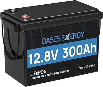 12V 300Ah LiFePO4 Lithium Battery Mini Size, Build-In 200A BMS, Low Temperature Cut-Off, 10000+ Deep Cycles, 12V Lithium Battery for RV, Sloar, Camping, Boats, Trolling Motor, Off Grid