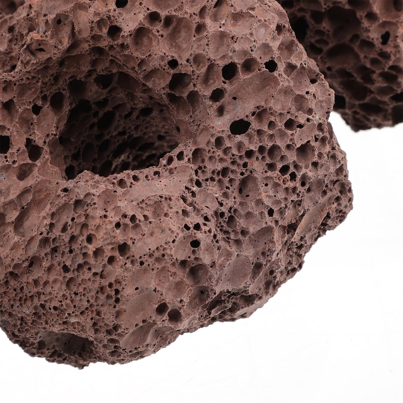 Happyyami Rocce Vulcaniche Naturali per Acquario 6 Pezzi Supporto Fisso per Piante Acquatiche Decorazioni di Pietra Lavica per Serbatoio Pesci E Gamberetti Ornamenti Acquario