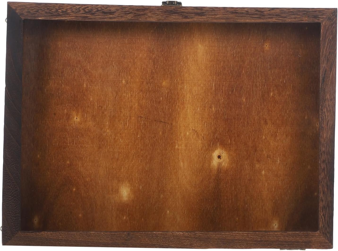 GANAZONO Retro Display Box for Butterflies Multi Functional Specimen Case with Lid for Jewelry Coins Crafts Portable Storage Box for Collectors and