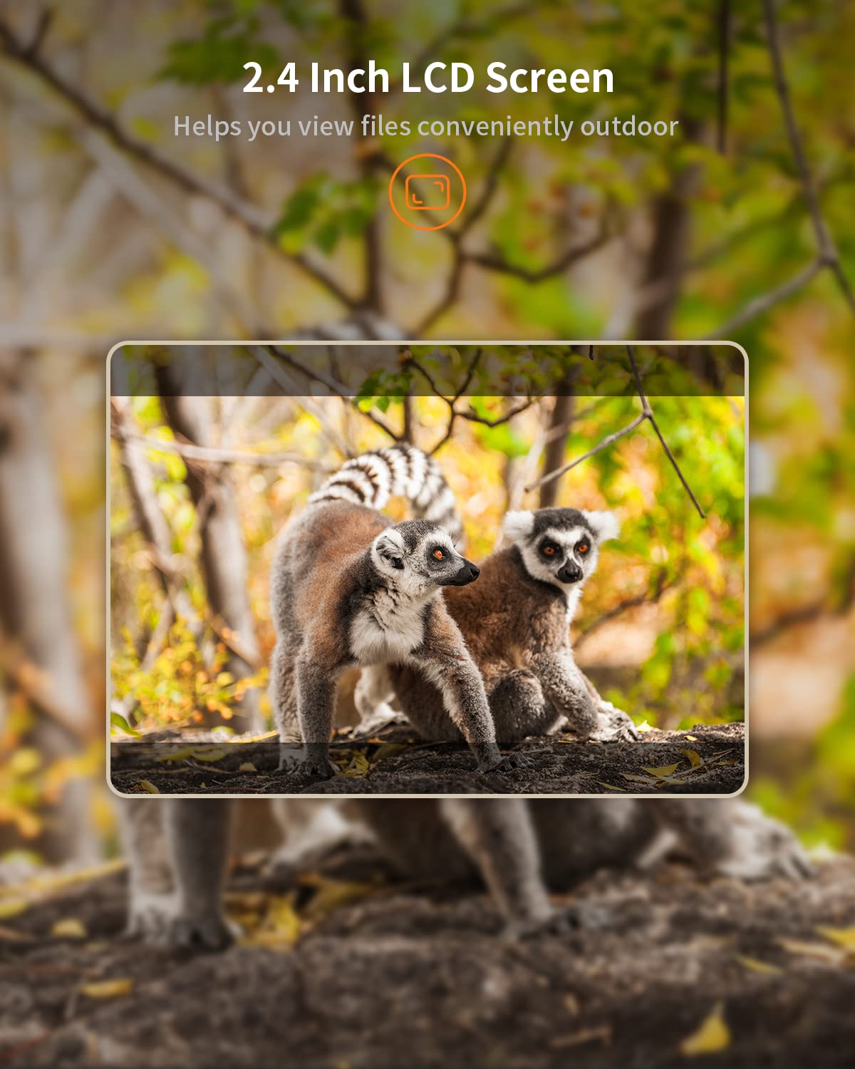 Donkivvy 16MP jacht-scouting-trailcamera, 1080HD wildcamera met nachtzicht, IP66 waterdicht, 90° groothoek-jachtcamera, trailcamera, geschikt voor outdoor wildlife monitoring Donkivvy 16MP jacht-scouting-trailcamera, 1080HD wildcamera met nachtzicht, IP66 waterdicht, 90° groothoek-jachtcamera, trailcamera, geschikt voor outdoor wildlife monitoring