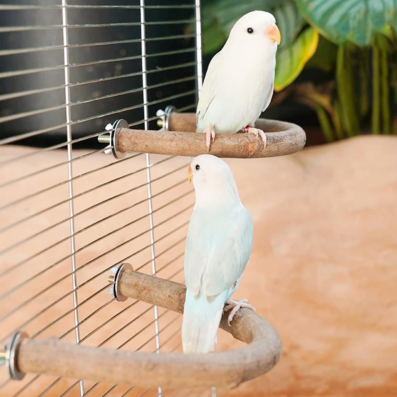 8 Pz Posatoi in Legno di Uccelli, U Forma Posatoi per Uccelli, Posatoi in Legno per Uccelli Legno Naturale per Cacatua, Cocorite