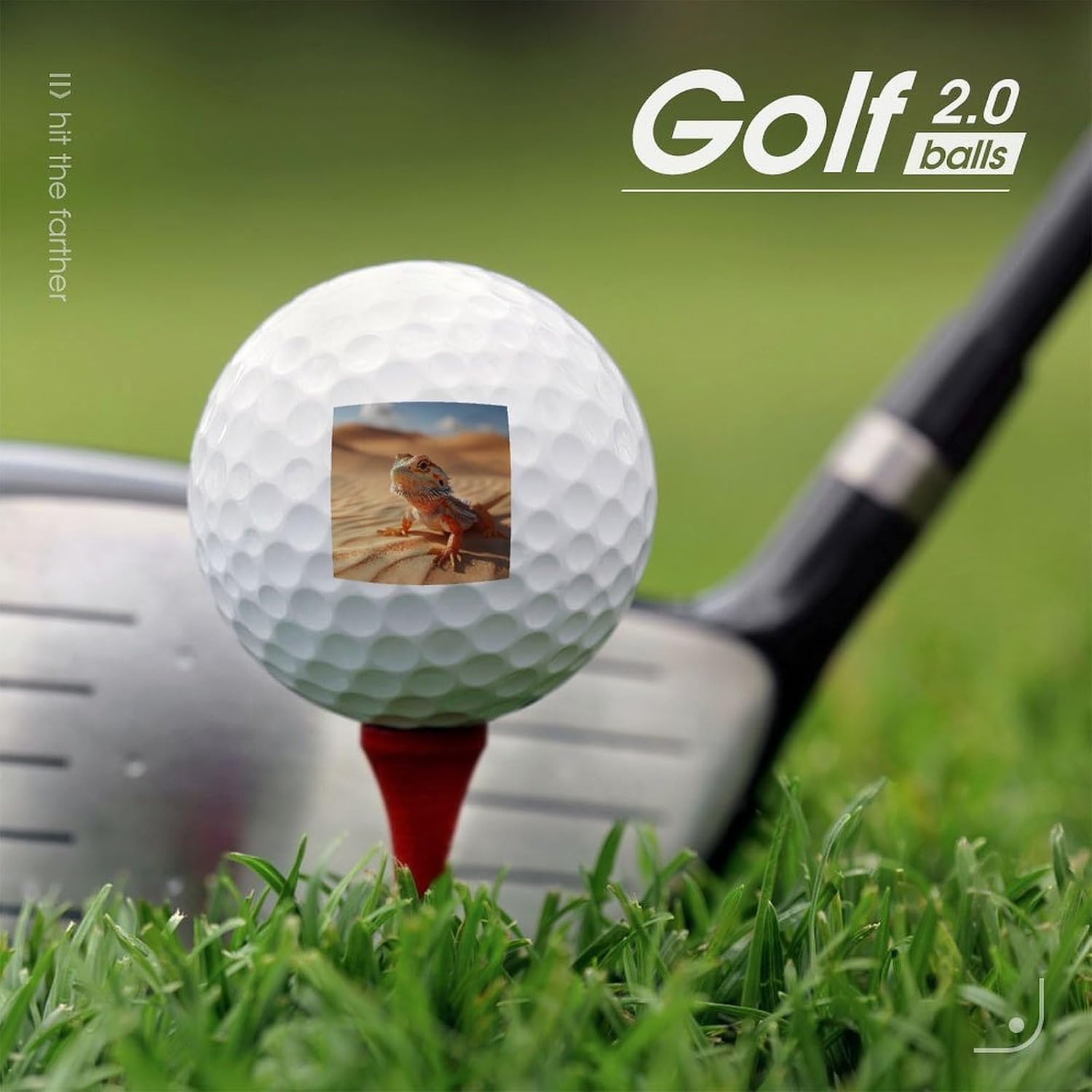 Bearded Dragon in Desert Standard Golf Balls Performance Golf Distance Ball Gift for Golfers