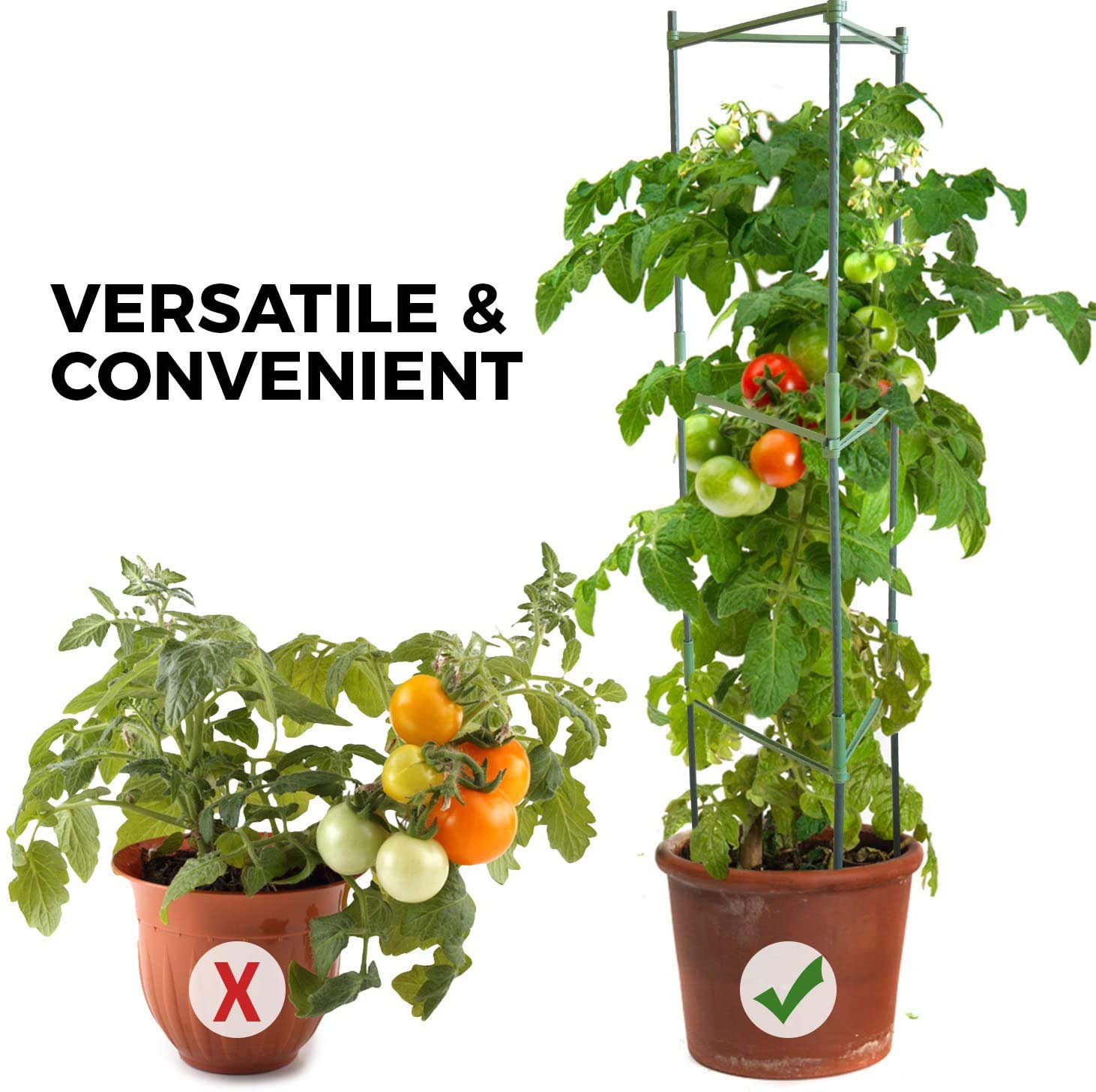 Apoyo para Plantas, Robustos Postes de Soporte para Plantas, Jaula para Plantas de Tomate, Escalada Vegtables, Flowers, Fruit Grow Cage (Tres Grupos)