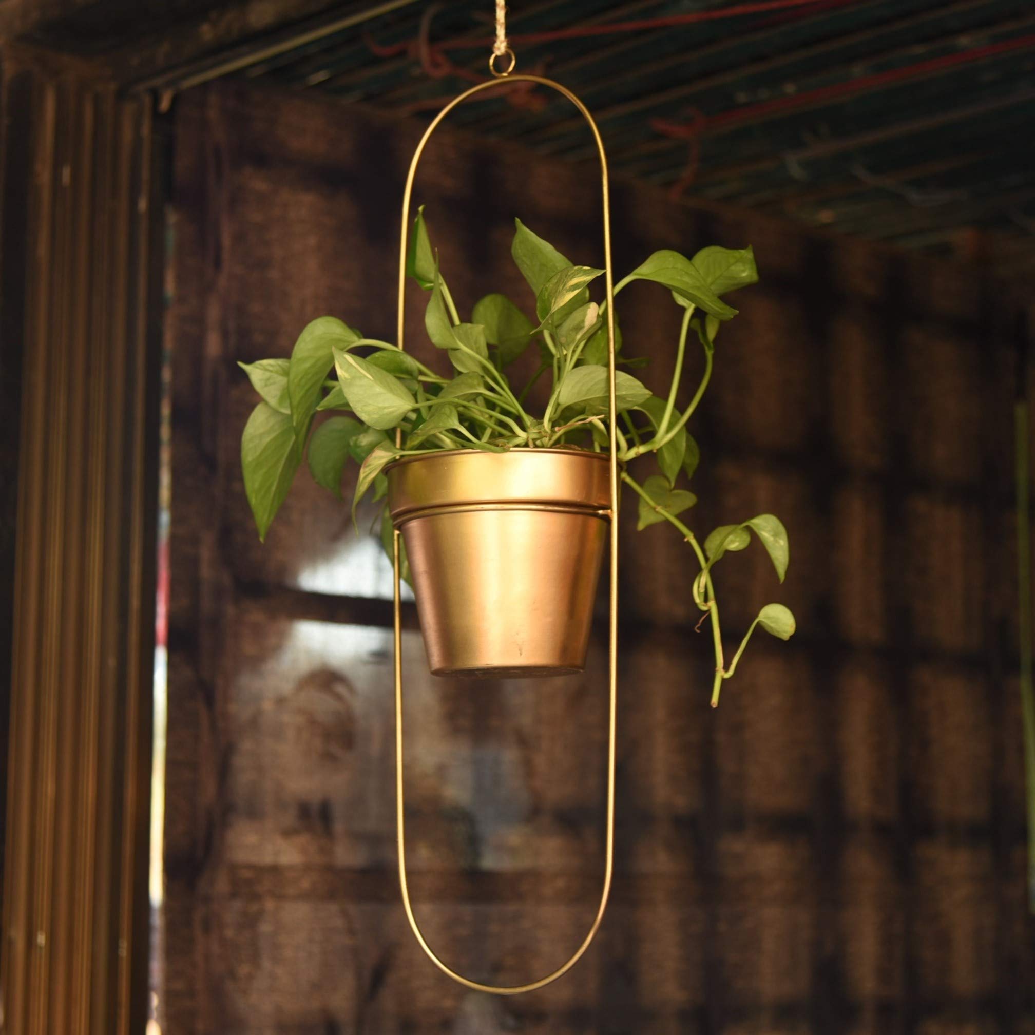 1 BHK Interiors Capsule Oval Shaped Hanging Metal Planter in Gold Finish, 1 Piece