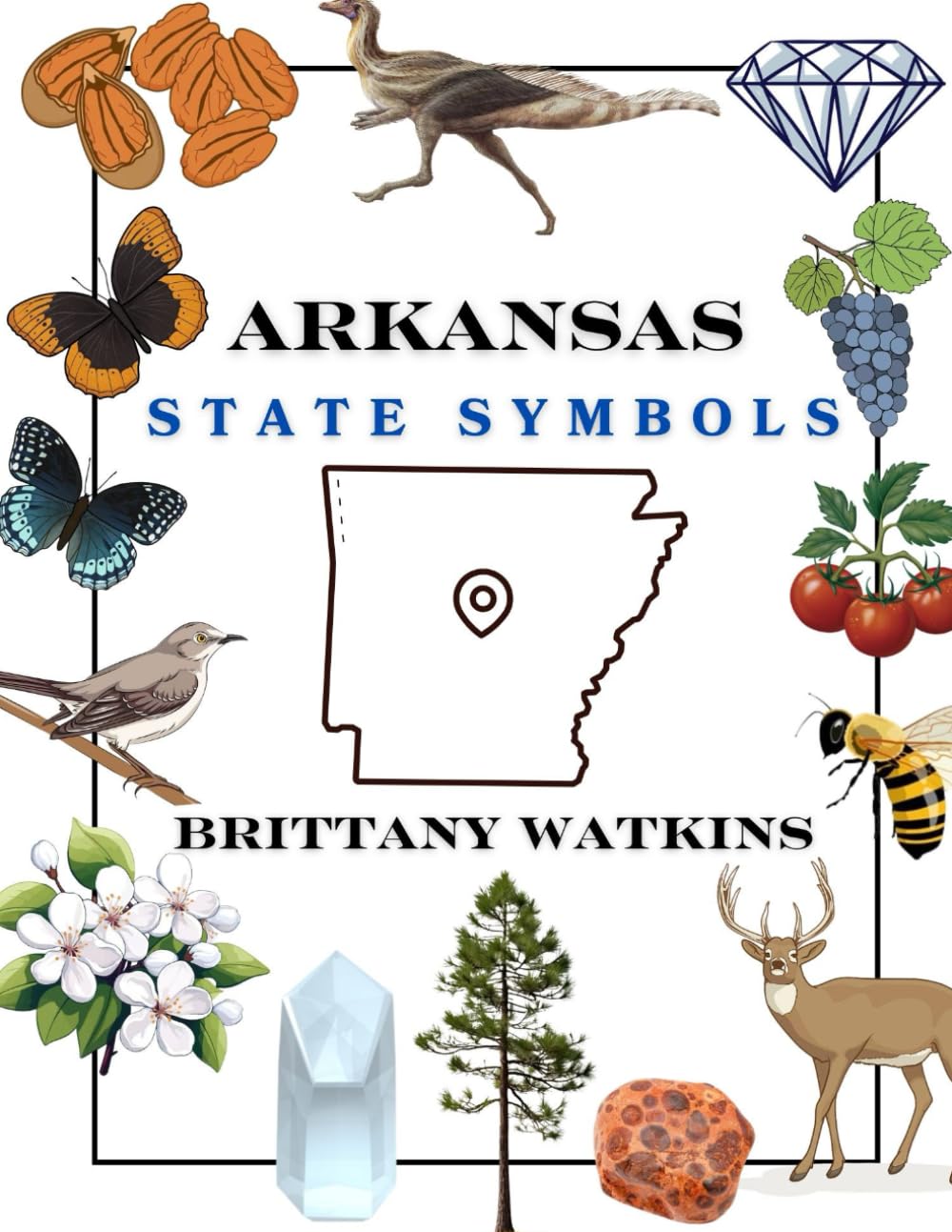 Arkansas State Symbols (The United States: State Symbols)