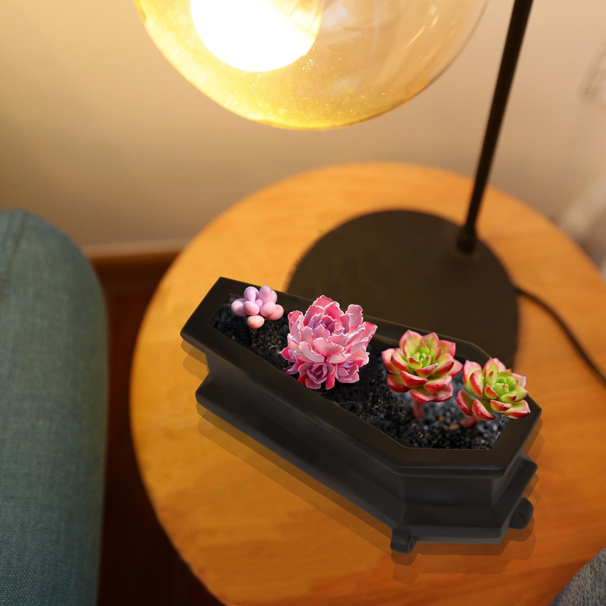 Zerodeko Pot De Fleurs Gothique En Résine En Forme De Cercueil Pour Plantes Grasses Et Cactus - Décoration De Bureau Unique Pour La Maison Et Le Bureau