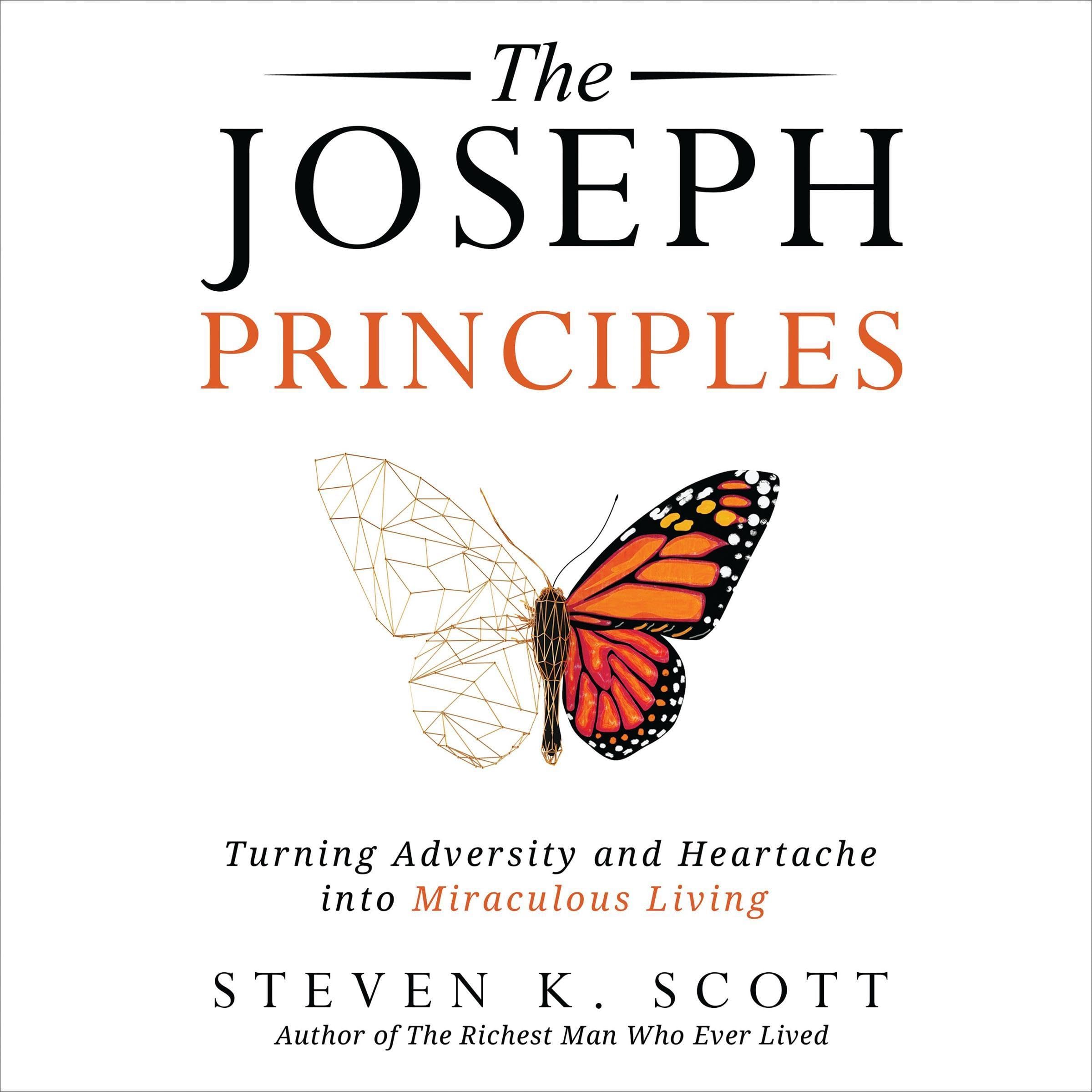 Cover art for The Joseph Principles
