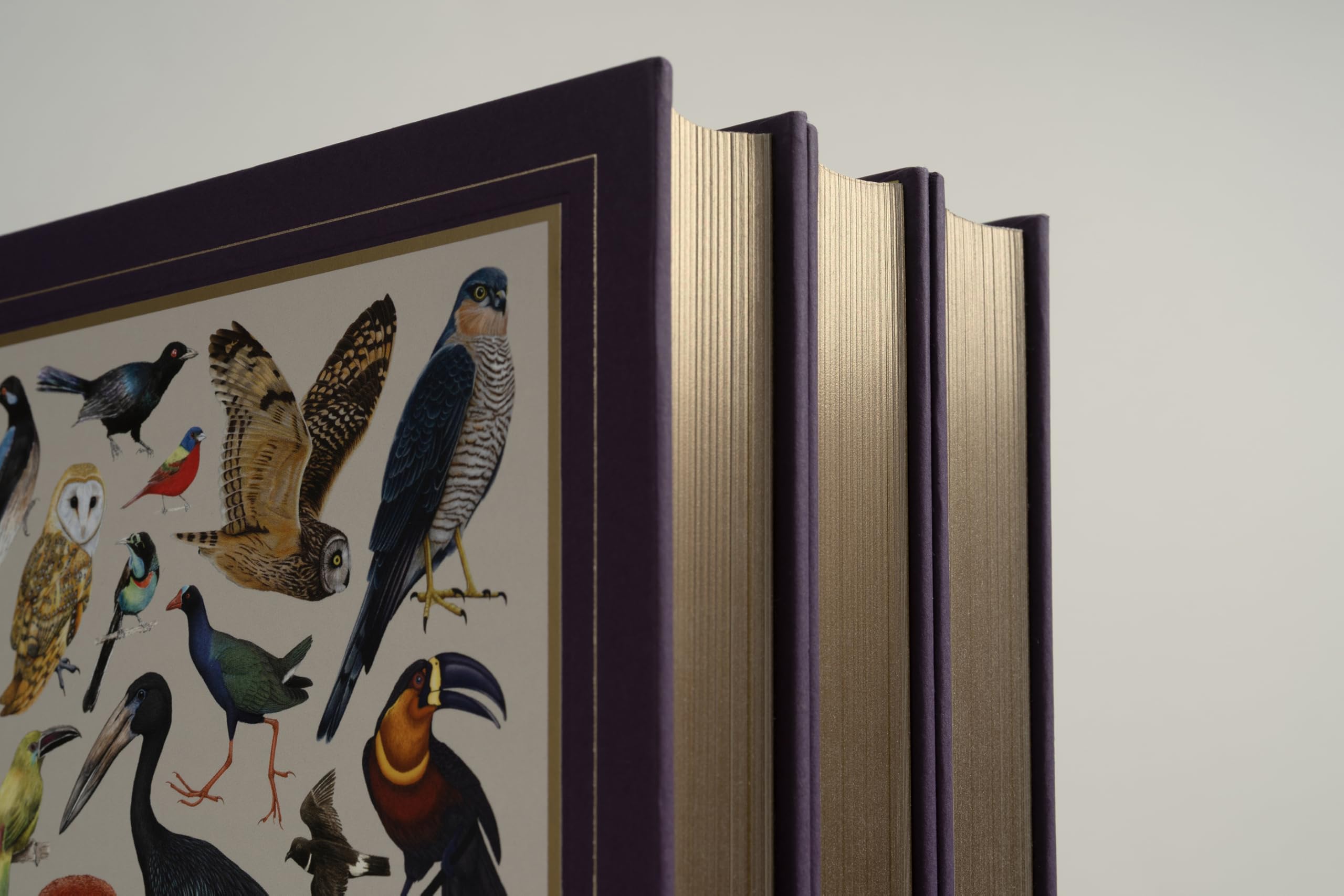 Avian Inspiration: Art and Design Inspired by Birds
