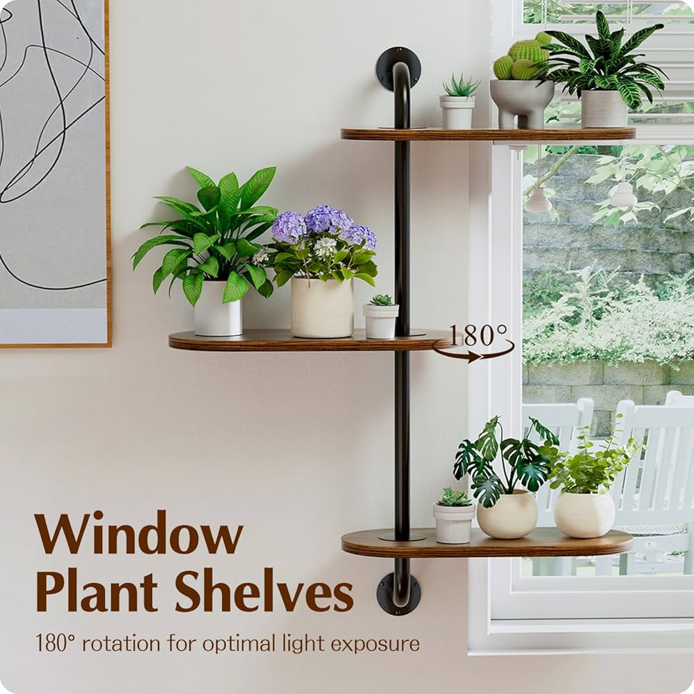 植物棚 71ZfuGTk2zL._UF1000,1000_QL80_.jpg