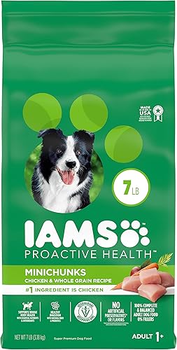 Iams Minichunks Adult Dry Dog Food Chicken